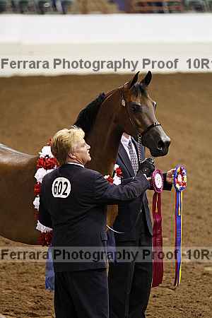 Proof Number 10r12_1438
