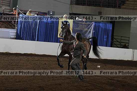 Proof Number 10r12_1443