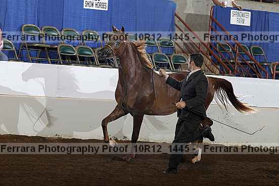 Proof Number 10r12_1445