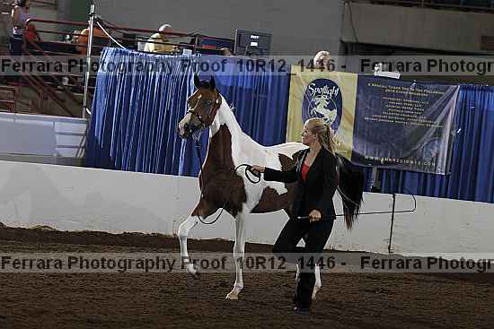Proof Number 10r12_1446