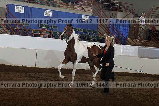 Proof Number 10r12_1447