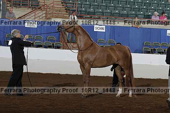 Proof Number 10r12_1448