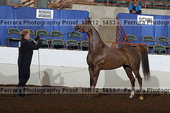 Proof Number 10r12_1453