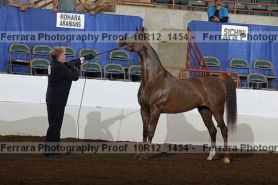 Proof Number 10r12_1454