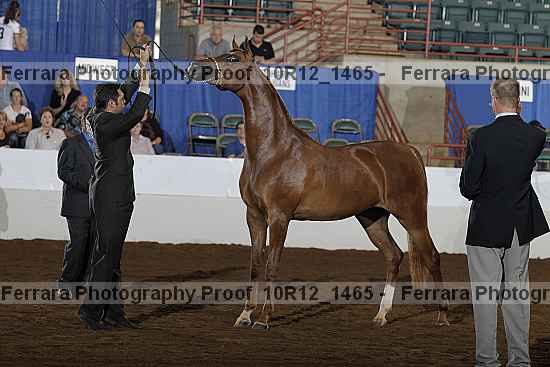 Proof Number 10r12_1465