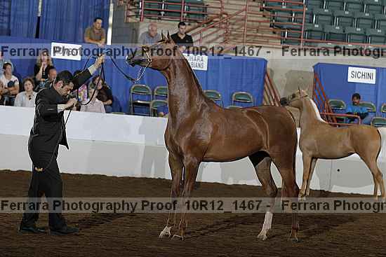 Proof Number 10r12_1467