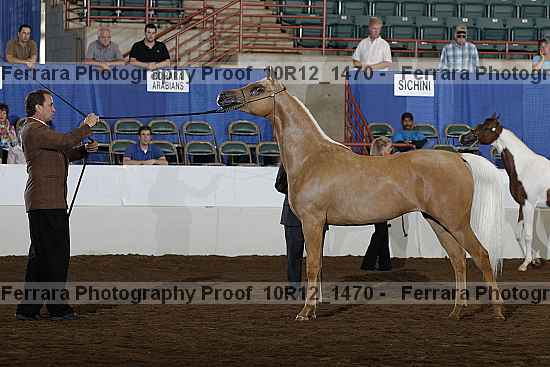 Proof Number 10r12_1470