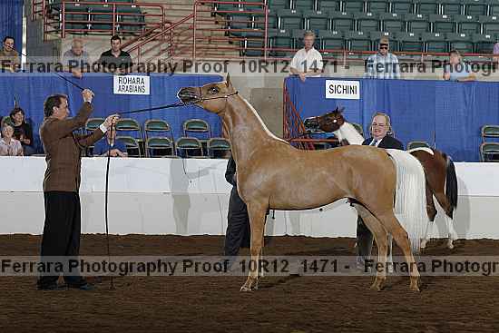 Proof Number 10r12_1471