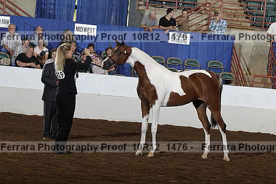 Proof Number 10r12_1476