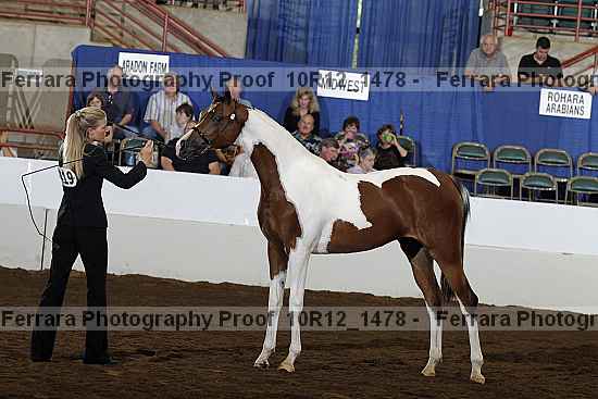 Proof Number 10r12_1478