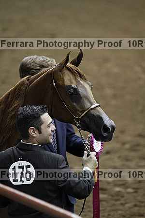 Proof Number 10r12_1483