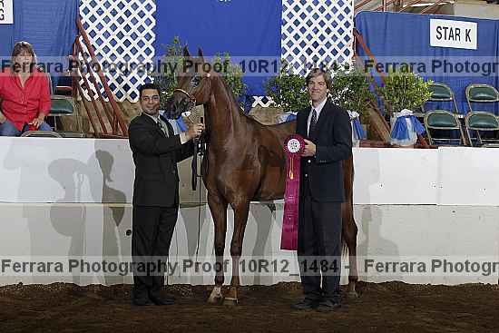 Proof Number 10r12_1484