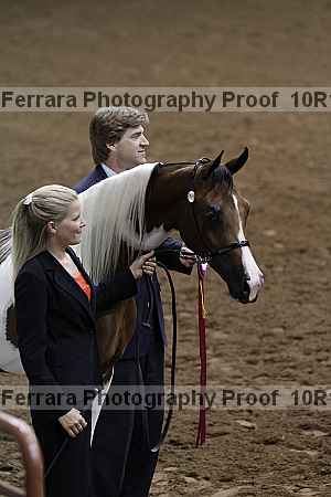 Proof Number 10r12_1487