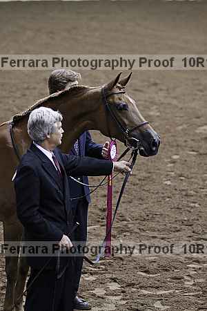 Proof Number 10r12_1489