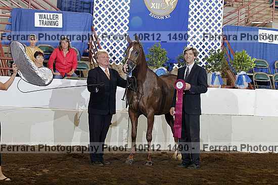 Proof Number 10r12_1490