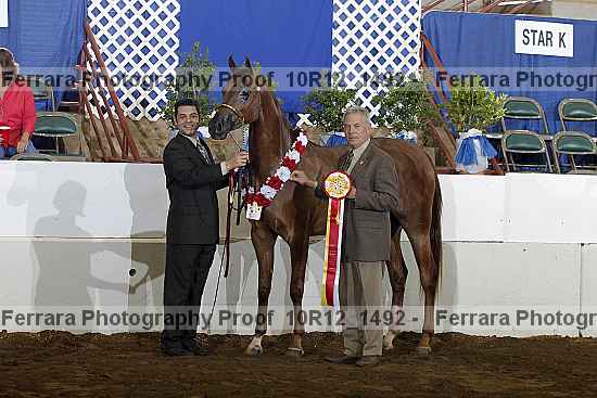 Proof Number 10r12_1492