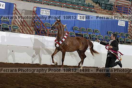 Proof Number 10r12_1498