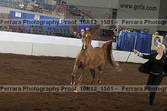 Proof Number 10r12_1501