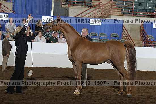Proof Number 10r12_1507