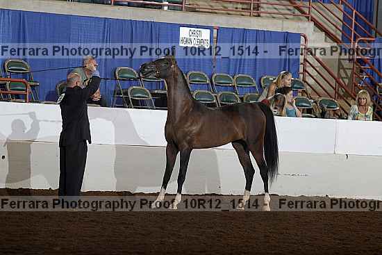 Proof Number 10r12_1514