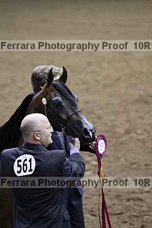 Proof Number 10r12_1521