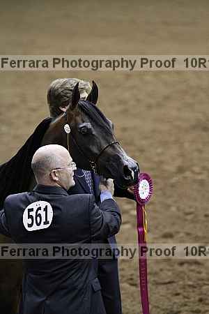 Proof Number 10r12_1522