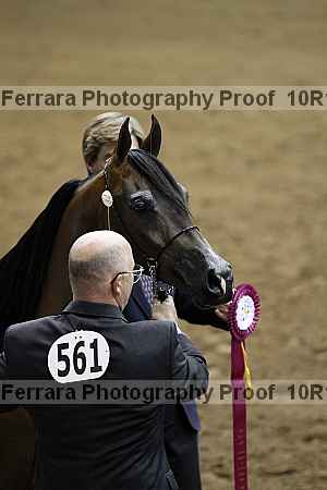 Proof Number 10r12_1524