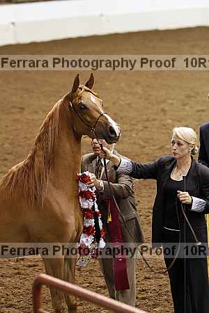 Proof Number 10r12_1526