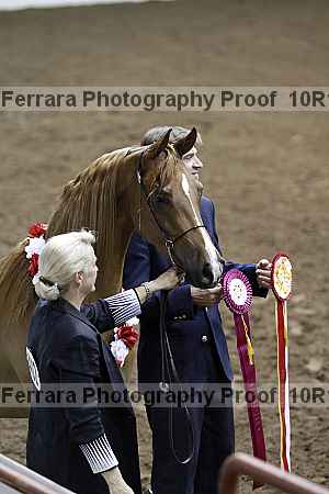 Proof Number 10r12_1530