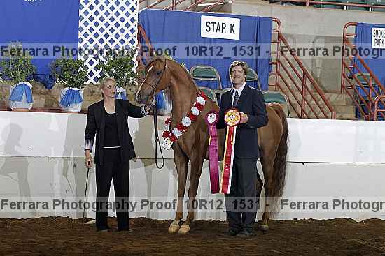 Proof Number 10r12_1531