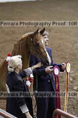 Proof Number 10r12_1532