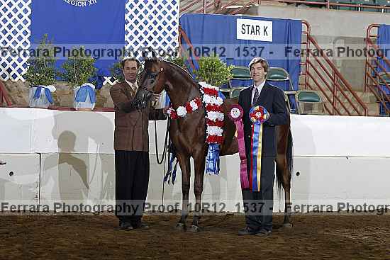 Proof Number 10r12_1537