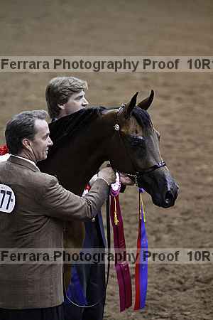 Proof Number 10r12_1538