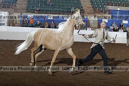 Proof Number 10r12_1563