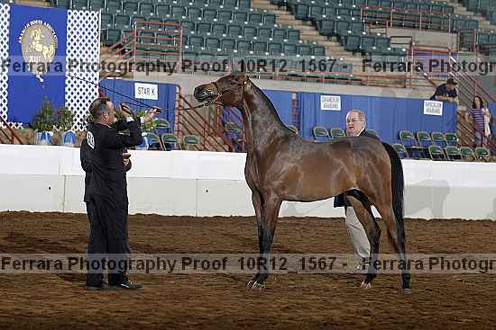 Proof Number 10r12_1567