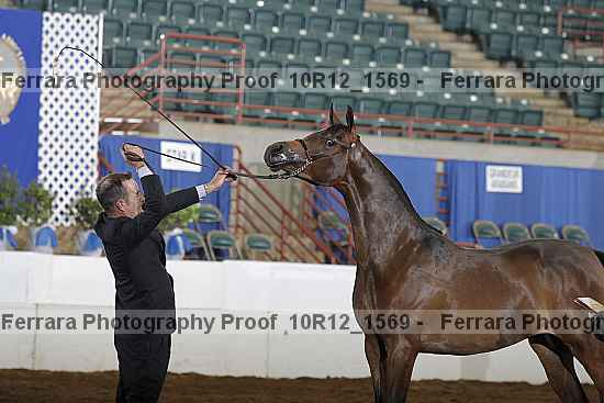 Proof Number 10r12_1569