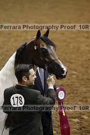 Proof Number 10r12_1572