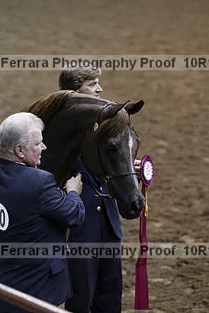 Proof Number 10r12_1575