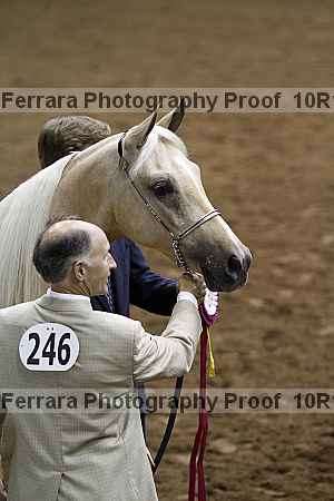 Proof Number 10r12_1578