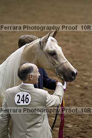 Proof Number 10r12_1580