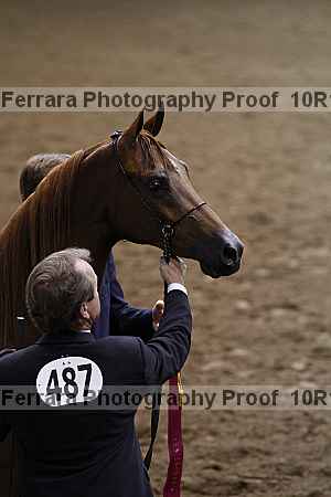 Proof Number 10r12_1581