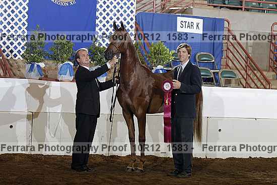 Proof Number 10r12_1583