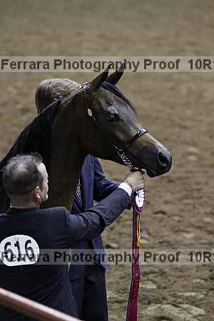 Proof Number 10r12_1587