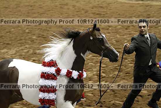 Proof Number 10r12_1600