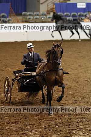 Proof Number 10r12_1607
