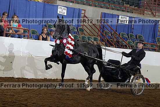 Proof Number 10r12_1638