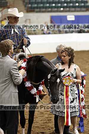 Proof Number 10r12_6485