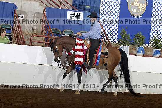 Proof Number 10r12_6513