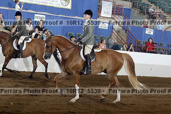 Proof Number 10r12_5539