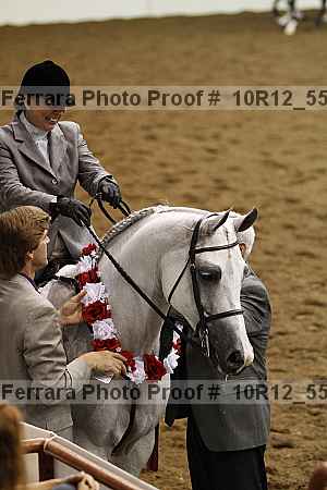 Proof Number 10r12_5549